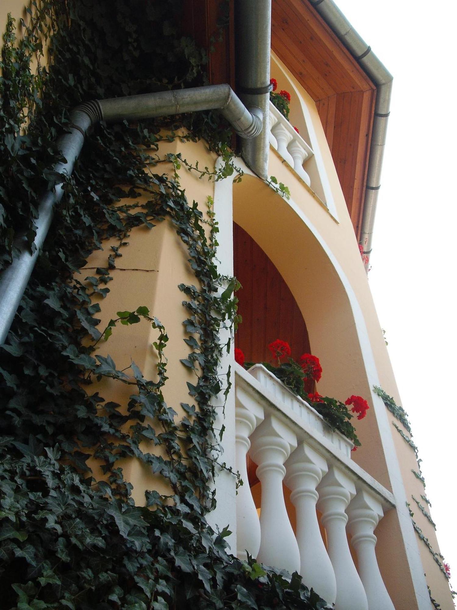 Ilona Kis Kastely Panzio Hotel Keszthely Ngoại thất bức ảnh